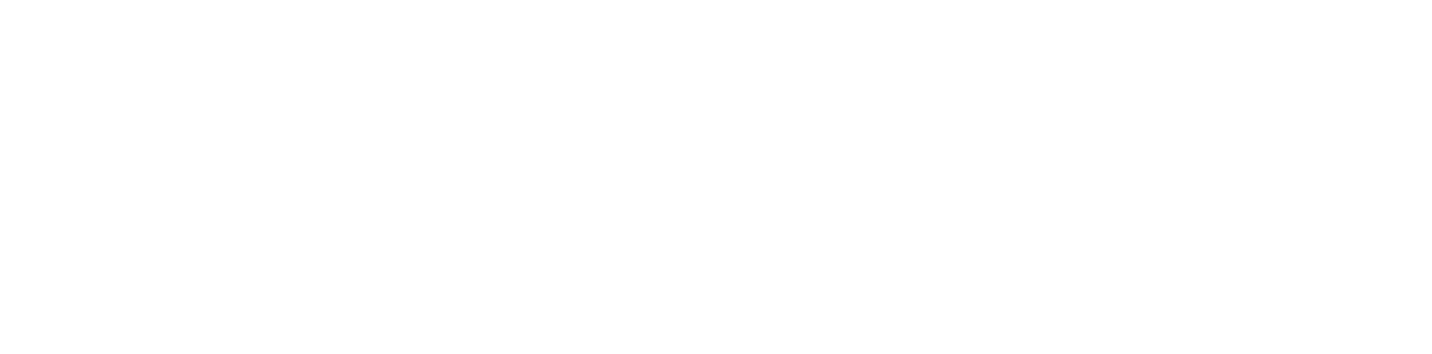 Pioneer Park logo